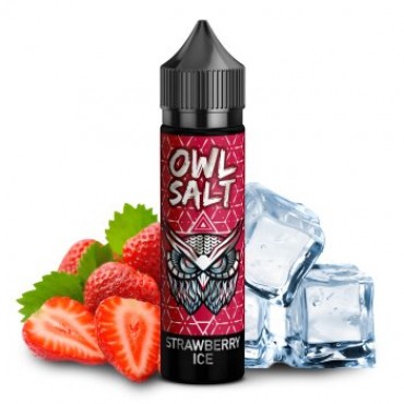 OWL Salt - Strawberry Ice Aroma 10ml
