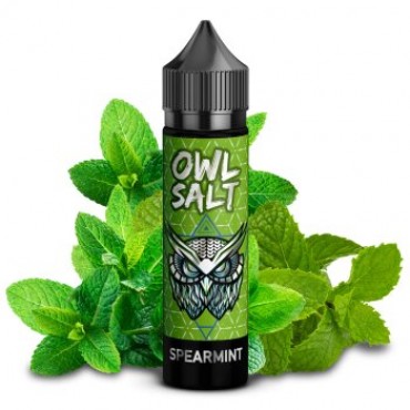 OWL Salt - Spearmint Aroma 10ml
