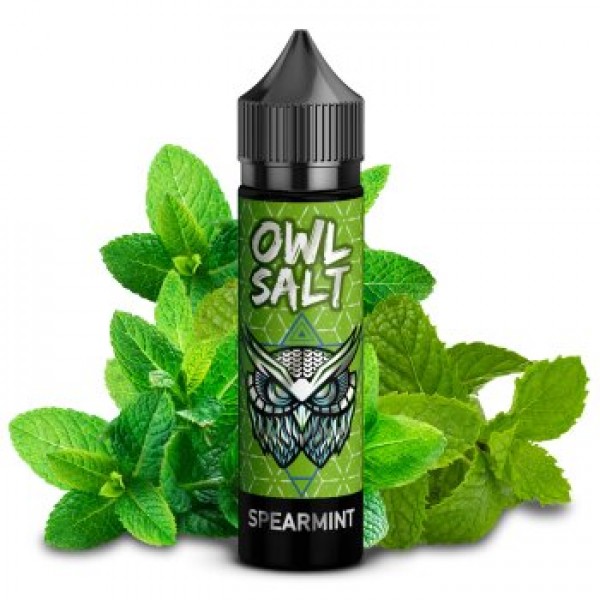 OWL Salt - Spearmint Aroma 10ml