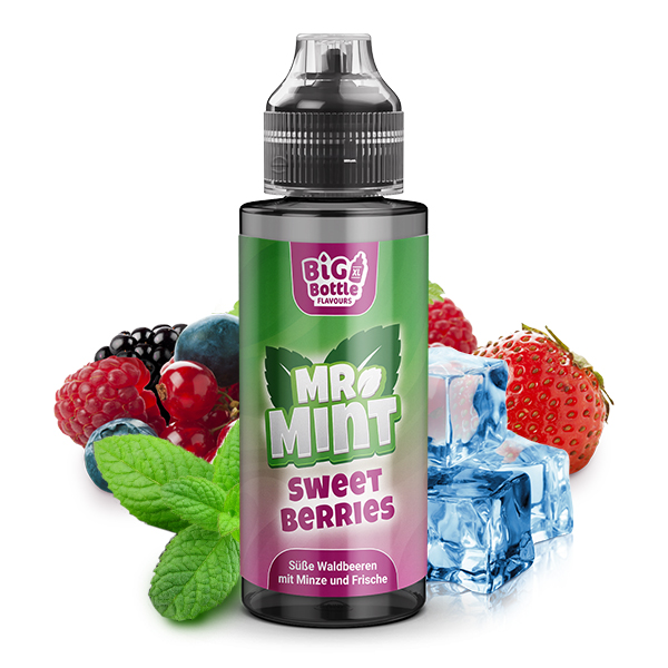Big Bottle - Mr. Mint - Sweet Berries Aroma 10ml