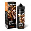 Dampflion Intense - Orange Menthol Aroma 10ml